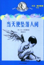 国际安徒生奖儿童小说 当天使坠落人间