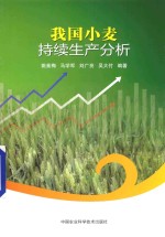 我国小麦持续生产分析