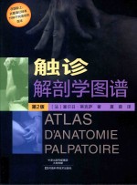 触诊解剖学图谱