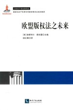 知识产权经典译丛 欧盟版权法之未来