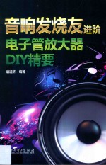 音响发烧友进阶 电子管放大器DIY精要
