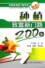 种植致富新门路200条