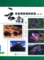 当飞虎队相遇大瀑布 抗战记忆与石城安顺