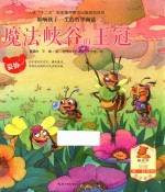 魔法峡谷的王冠