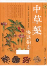 中草药快认指南 上