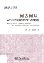 何去何从,农村小型金融机构内生式的发展