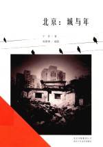 北京 城与年