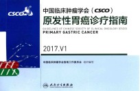 中国临床肿瘤学会 CSCO 原发性胃癌诊疗指南 2017 V1