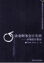 企业财务会计实训 分岗会计实训