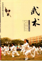 中华优秀传统文化丛书 武术