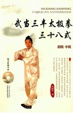 武当三丰太极拳三十八式 初级 中级