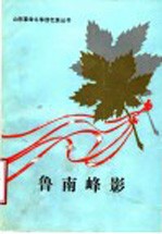 鲁南峰影 下
