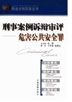 刑事案例诉辩审评 危害公共安全罪