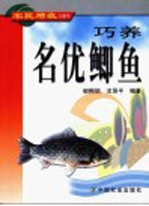 巧养名优鲫鱼