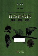蝴蝶蜻蜓蜜蜂 彩图版