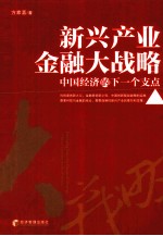 中国经济的下一个支点 新兴产业金融大战略