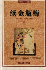 续金瓶梅 上