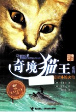 黑暗深处的火鸟