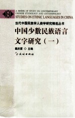 中国少数民族语言文字研究 1