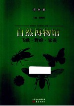 自然博物馆 飞蛾 野蜂 家蚕 彩图版