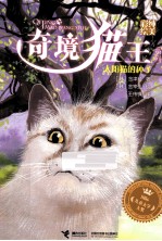 太阳猫的种子