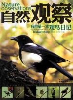 暑期读一本好书 我的第一本观鸟日记 自然观察