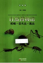 螳螂萤火虫瓢虫 彩图版