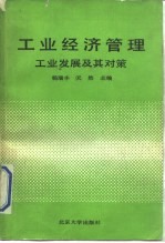 工业经济管理 工业发展及其对策