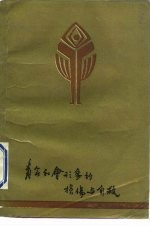 青年社会形象的损伤与自救