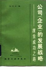 公司 企业 的发展战略 探索成功之路