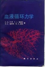血液循环力学
