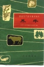 养牛