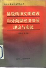 县级精神文明建设和外向型经济决策理论与实践