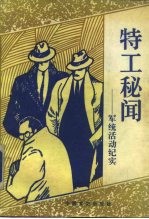 特工秘闻 军统活动纪实