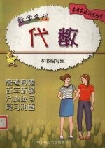 高考实战训练丛书 数学系列 代数