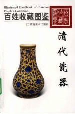 百姓收藏图鉴 清代瓷器