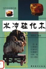 水冲硅化木