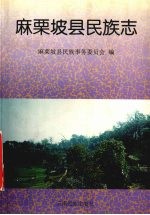 麻栗坡县民族志
