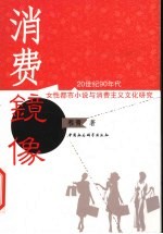 消费镜像 20世纪90年代女性都市小说与消费主义文化研究