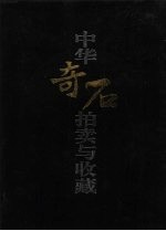 中华奇石拍卖与收藏 下