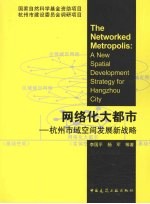 网络化大都市 杭州市域空间发展战略