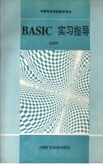 BASIC实习指导