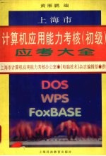 上海市计算机应用能力考核 初级 应考大全