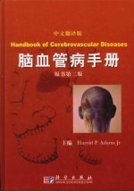 脑血管病手册 原书第2版中文翻译版
