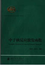 中子核反应激发函数