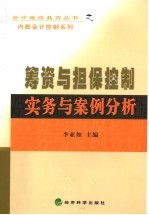 筹资与担保控制实务与案例分析