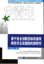 基于自主创新目标的国有高技术企业激励机制研究