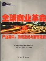 全球商业革命 产业集中、系统集成与瀑布效应