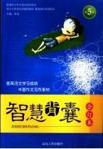 智慧背囊 5