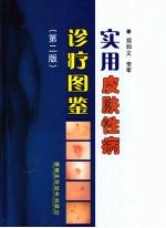 实用皮肤性病诊疗图鉴 第2版